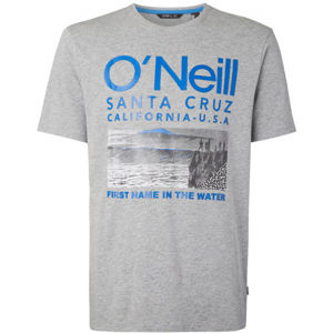 O'Neill LM SURF T-SHIRT Pánské tričko, šedá, velikost M