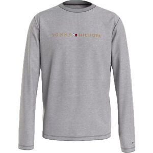 Tommy Hilfiger TOMMY ORIGINAL-CN LS TEE LOGO Pánské triko s dlouhým rukávem, šedá, veľkosť XL